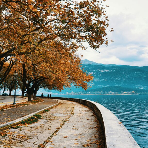 Ioannina lake